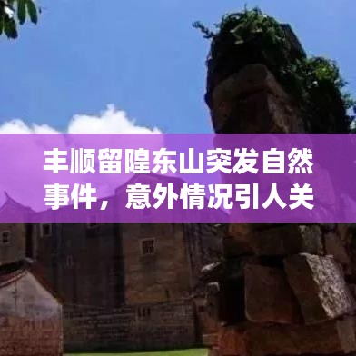 豐順留隍東山突發(fā)自然事件，意外情況引人關注