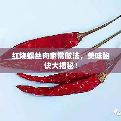 紅燒螺絲肉家常做法，美味秘訣大揭秘！