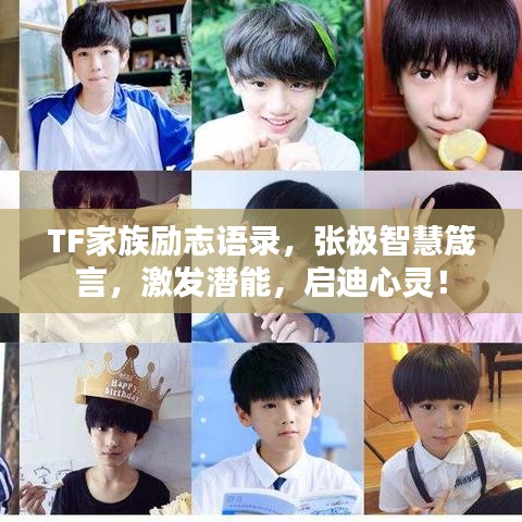 TF家族勵(lì)志語錄，張極智慧箴言，激發(fā)潛能，啟迪心靈！