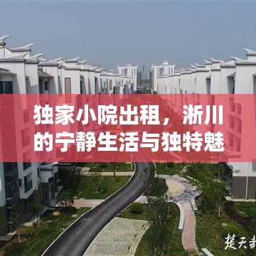 獨(dú)家小院出租，淅川的寧靜生活與獨(dú)特魅力體驗(yàn)