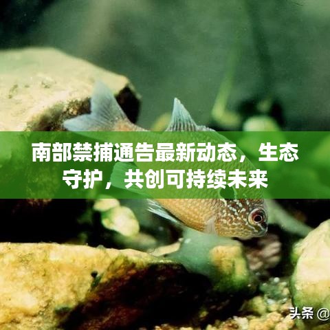 南部禁捕通告最新動態(tài)，生態(tài)守護(hù)，共創(chuàng)可持續(xù)未來