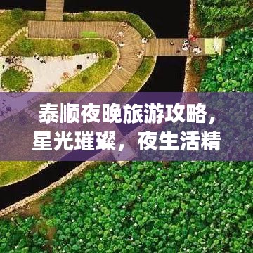 泰順夜晚旅游攻略，星光璀璨，夜生活精彩紛呈！