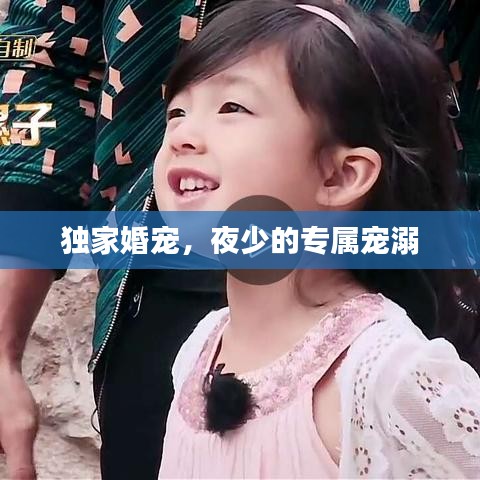 獨家婚寵，夜少的專屬寵溺