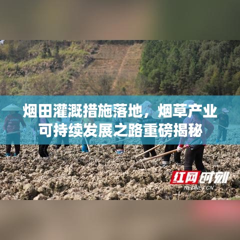 煙田灌溉措施落地，煙草產(chǎn)業(yè)可持續(xù)發(fā)展之路重磅揭秘