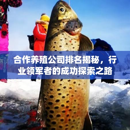 合作養(yǎng)殖公司排名揭秘，行業(yè)領軍者的成功探索之路