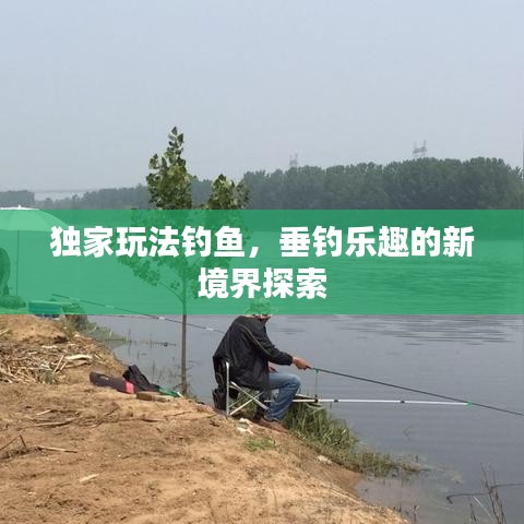 獨家玩法釣魚，垂釣樂趣的新境界探索