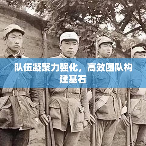 隊伍凝聚力強化，高效團隊構(gòu)建基石