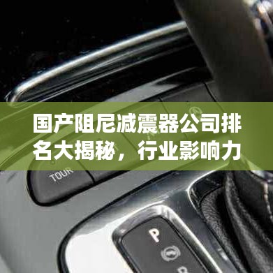 國(guó)產(chǎn)阻尼減震器公司排名大揭秘，行業(yè)影響力不容小覷！