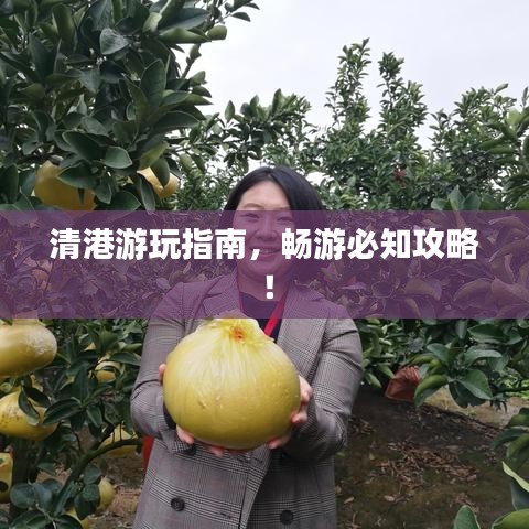 清港游玩指南，暢游必知攻略！