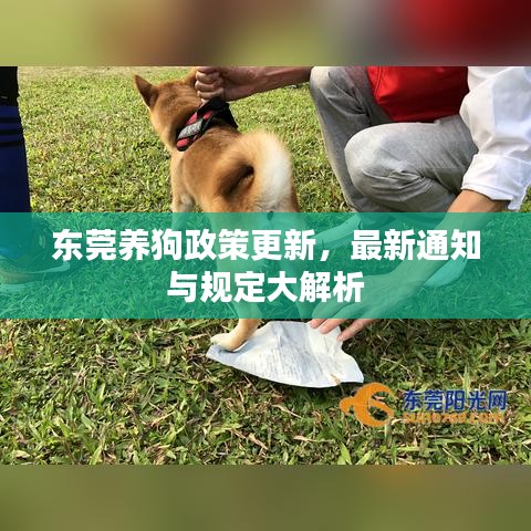 東莞養(yǎng)狗政策更新，最新通知與規(guī)定大解析