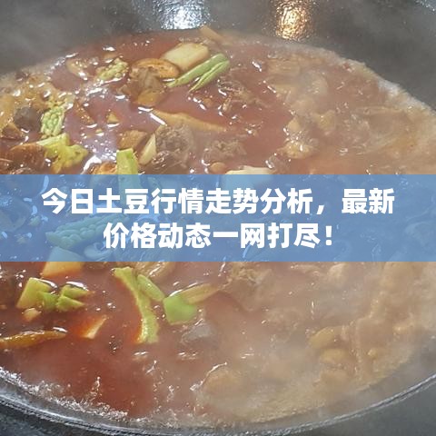今日土豆行情走勢分析，最新價格動態(tài)一網打盡！