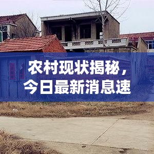農(nóng)村現(xiàn)狀揭秘，今日最新消息速遞