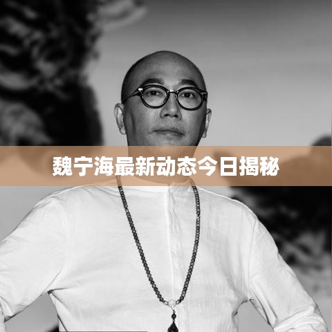 魏寧海最新動態(tài)今日揭秘