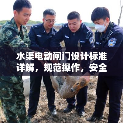 水渠電動閘門設(shè)計(jì)標(biāo)準(zhǔn)詳解，規(guī)范操作，安全無憂