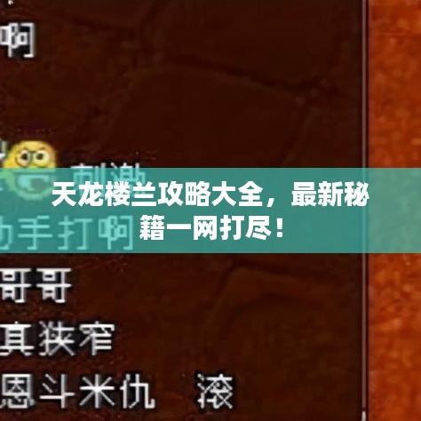 天龍樓蘭攻略大全，最新秘籍一網(wǎng)打盡！