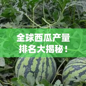 全球西瓜產(chǎn)量排名大揭秘！