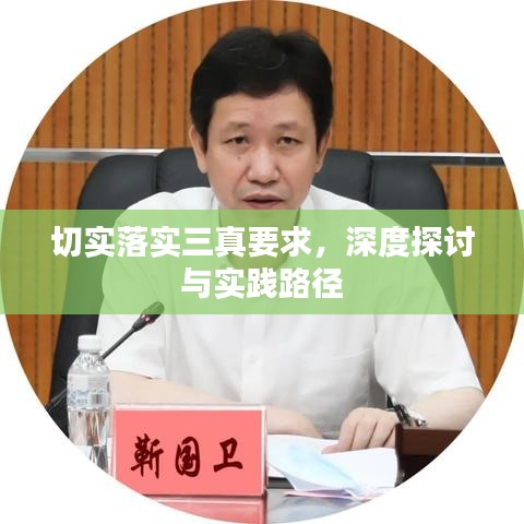 切實落實三真要求，深度探討與實踐路徑