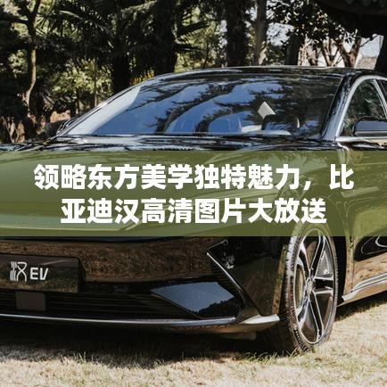 領(lǐng)略東方美學(xué)獨(dú)特魅力，比亞迪漢高清圖片大放送