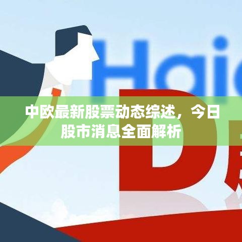 中歐最新股票動(dòng)態(tài)綜述，今日股市消息全面解析