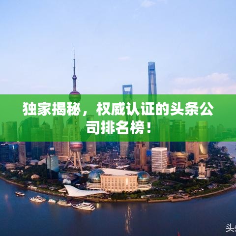 獨家揭秘，權威認證的頭條公司排名榜！