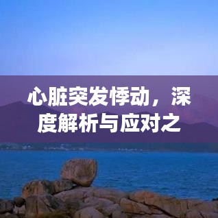 心臟突發(fā)悸動，深度解析與應(yīng)對之道