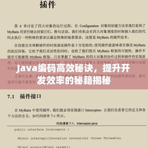 Java編碼高效秘訣，提升開發(fā)效率的秘籍揭秘
