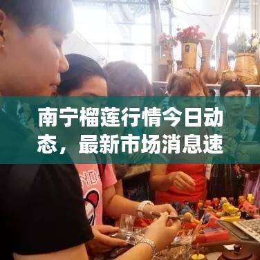南寧榴蓮行情今日動(dòng)態(tài)，最新市場(chǎng)消息速遞