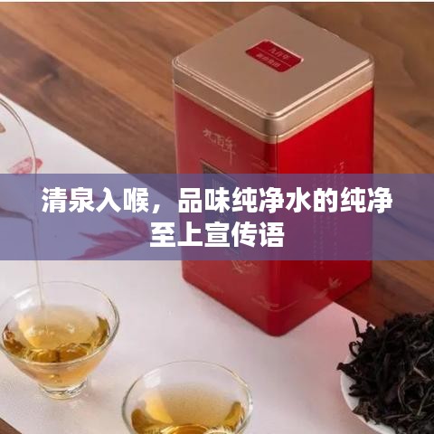 清泉入喉，品味純凈水的純凈至上宣傳語