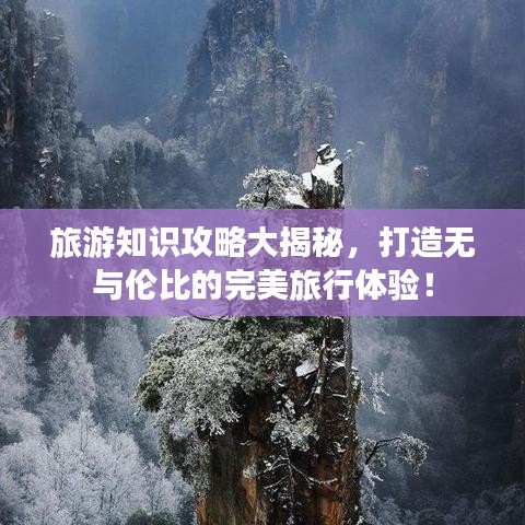 旅游知識攻略大揭秘，打造無與倫比的完美旅行體驗(yàn)！