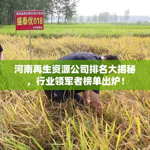 河南再生資源公司排名大揭秘，行業(yè)領(lǐng)軍者榜單出爐！