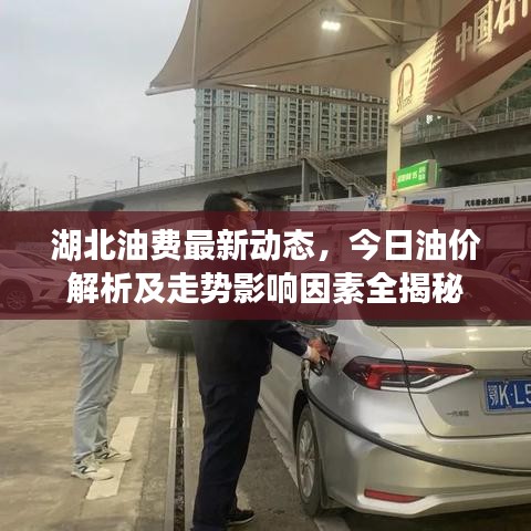 湖北油費最新動態(tài)，今日油價解析及走勢影響因素全揭秘