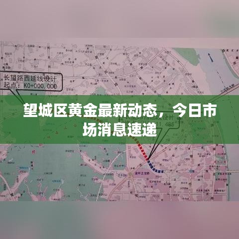 望城區(qū)黃金最新動態(tài)，今日市場消息速遞