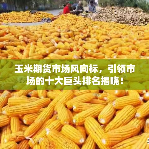 玉米期貨市場風向標，引領市場的十大巨頭排名揭曉！