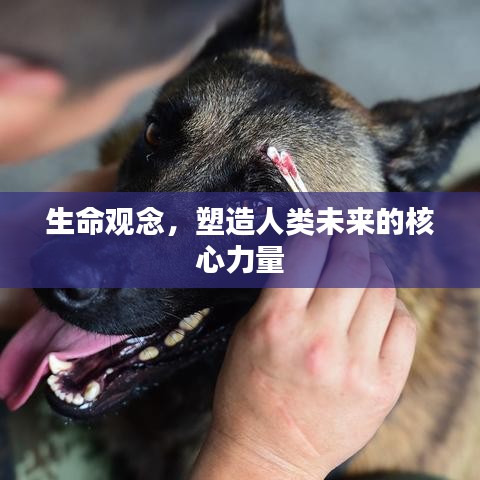 生命觀念，塑造人類未來的核心力量