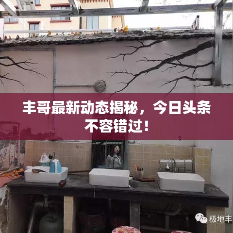 鳥(niǎo)面鵠形 第2頁(yè)