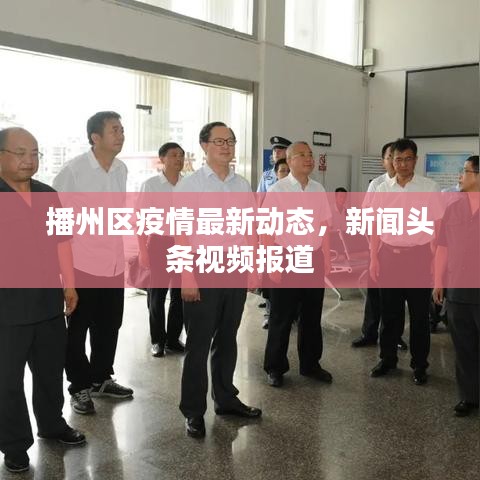 播州區(qū)疫情最新動態(tài)，新聞頭條視頻報道