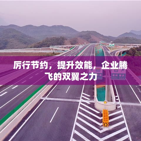 厲行節(jié)約，提升效能，企業(yè)騰飛的雙翼之力
