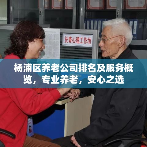 楊浦區(qū)養(yǎng)老公司排名及服務(wù)概覽，專業(yè)養(yǎng)老，安心之選