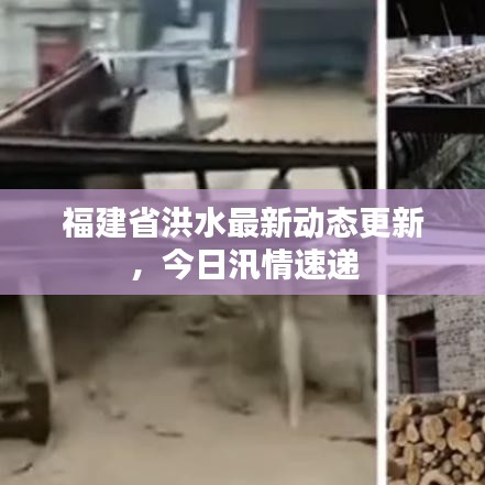 福建省洪水最新動態(tài)更新，今日汛情速遞