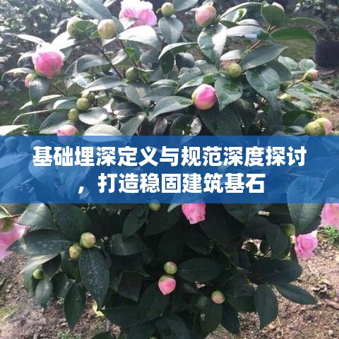 基礎(chǔ)埋深定義與規(guī)范深度探討，打造穩(wěn)固建筑基石