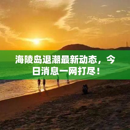海陵島退潮最新動(dòng)態(tài)，今日消息一網(wǎng)打盡！