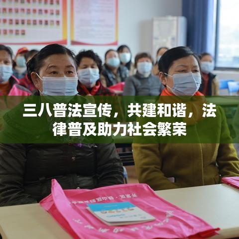 三八普法宣傳，共建和諧，法律普及助力社會繁榮