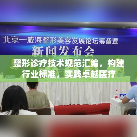 整形診療技術(shù)規(guī)范匯編，構(gòu)建行業(yè)標準，實踐卓越醫(yī)療