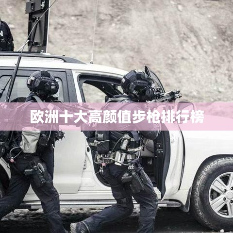 歐洲十大高顏值步槍排行榜