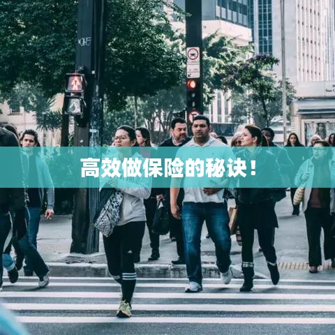 鳶飛魚躍 第3頁