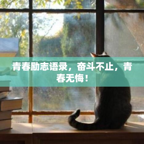 青春勵(lì)志語錄，奮斗不止，青春無悔！