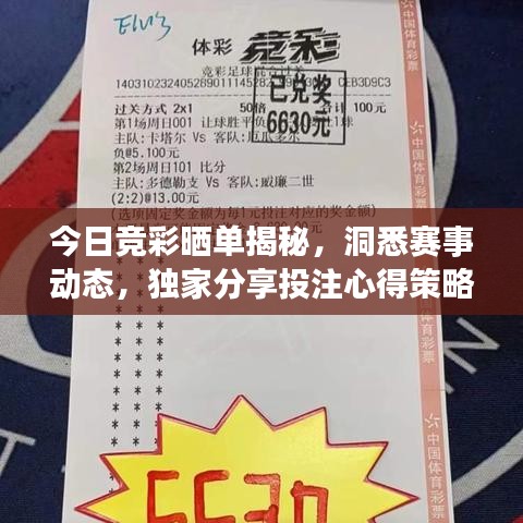 今日競彩曬單揭秘，洞悉賽事動態(tài)，獨家分享投注心得策略