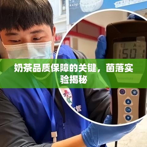 奶茶品質(zhì)保障的關(guān)鍵，菌落實(shí)驗(yàn)揭秘