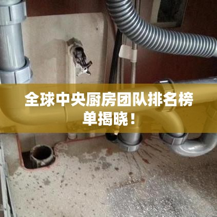 全球中央廚房團(tuán)隊(duì)排名榜單揭曉！