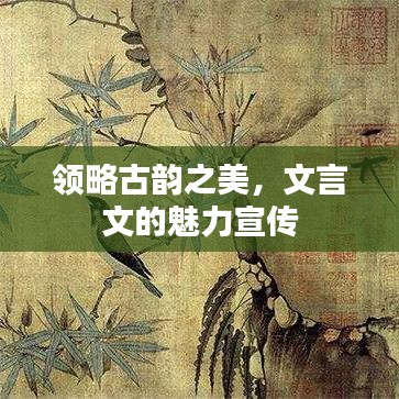 領(lǐng)略古韻之美，文言文的魅力宣傳